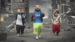 Party Rock Hamster Dancing Animal GIF