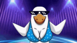 Partying White Duck