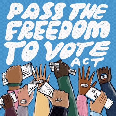 Pass The Freedom To Vote Act Poster GIF