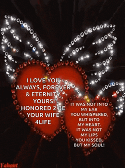 Passionate Passionate Love GIF