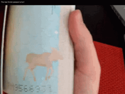 Passport  Moose Moving Flipbook GIF