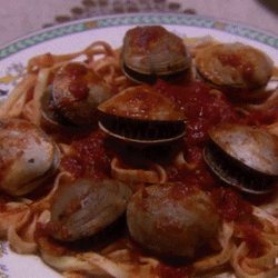 Pasta Moving Shell GIF