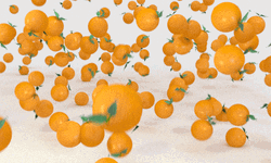 Pastel Orange Fruits Rolling Aesthetic GIF