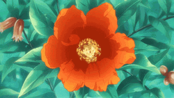 Pastel Orange Poppy Aesthetic GIF