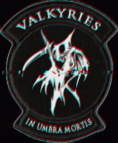 Patch Says Valkyries In Umbra Mortis GIF