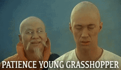 Patience Young Grasshopper GIF
