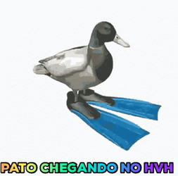 Pato Girando Duck Spinning  GIF
