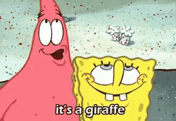 Patrick Boo At Bikini Bottom GIF