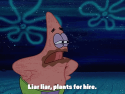 Patrick Saying Liar Plants For Hire GIF