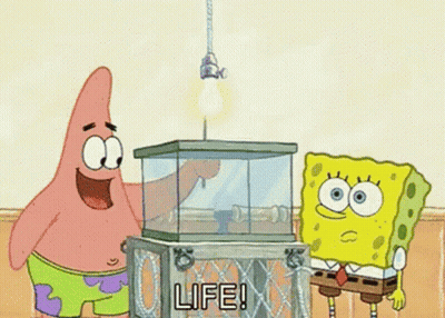 Patrick Star And Spongebob Squarepants Are Standing Next To A Fish Tank With A Light Bulb In It . GIF