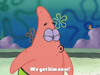 Patrick Star From Spongebob Squarepants Has A Flower On His Head And Says We Got Him Now GIF