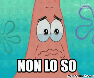 Patrick Star From Spongebob Squarepants Is Crying With The Words Non Lo So Below Him GIF