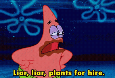 Patrick Star From Spongebob Squarepants Is Saying Liar Liar Plants For Hire GIF