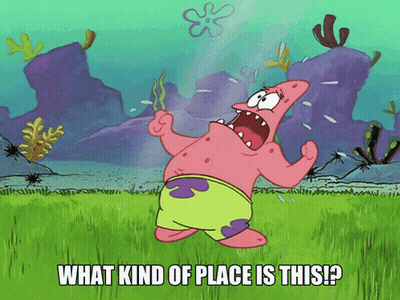 Patrick Star From Spongebob Squarepants Is Standing In A Grassy Field Asking What Kind Of Place Is This GIF