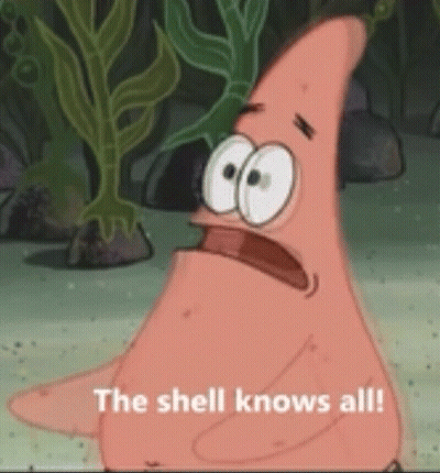 Patrick Star From Spongebob Squarepants Says `` The Shell Knows All ! '' GIF