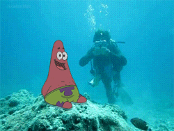 Patrick Star Funny Ring Bubble GIF