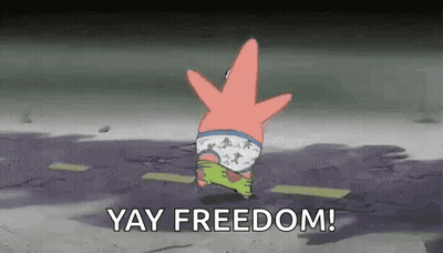 Patrick Star In Underwear Yay Freedom GIF