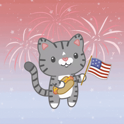 Patriotic Cat USA Flag GIF