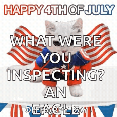 Patriotic Cat With Flag Happy 4Th Of July GIF