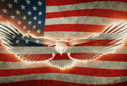 Patriotic Eagle Waving Flag GIF