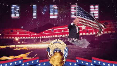 Patriotic Fireworks Display GIF