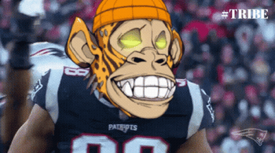 Patriots Football Player With Monkey Mask GIF