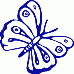 Patterned Blue Butterfly