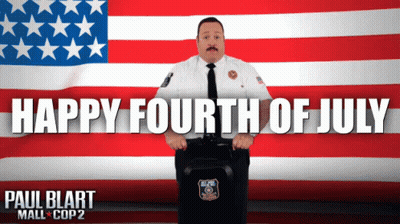Paul Blart Mall Cop 2 Poster Man Holding Suitcase in Front of American Flag