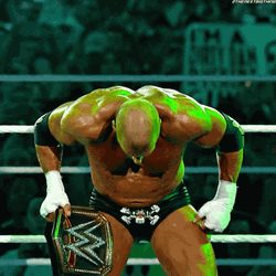 Paul Levesque Champion GIF