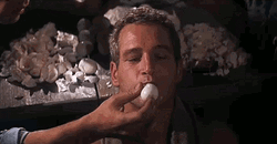 Paul Newman Eats Eggs