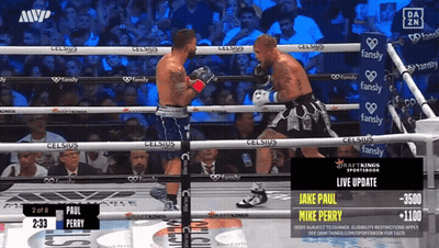 Paul Perry Vs Mike Perry Boxing Match GIF