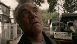 Paulie Walnuts I Surrender GIF