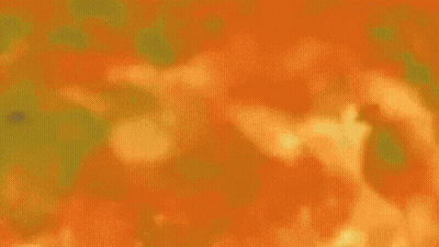 Paulok Jambon GIF
