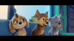 Paw Patrol Dance Jam Ride GIF