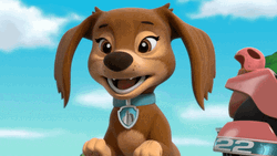 Paw Patrol Liberty Happy Excited GIF
