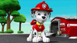 Paw Patrol Marshall Wink GIF