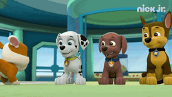 Paw Patrol Team High Five GIF
