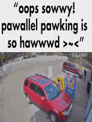 Pawallel Pawking Crash Meme  GIF