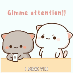 Pay Attention I Miss You GIF