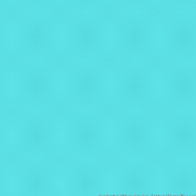 PayPal Gift Card Giveaway GIF
