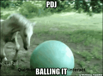 Pdj Balling It GIF