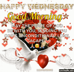 Peace Of God Happy Blessed Wednesday GIF