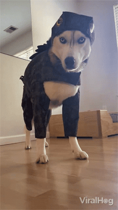 Peace Sign Everything Is Going To Be Ok GIF