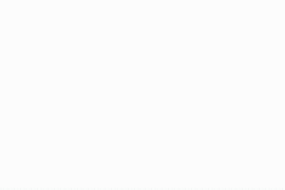 Peace Sign With Dove Holding Flower GIF