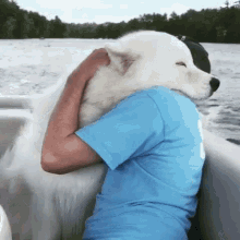 Peaceful Dog Hug On A Boat GIF