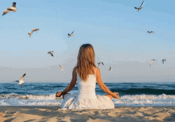 Peaceful Time With The Sea GIF