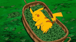Peacefully Sleeping Pikachu