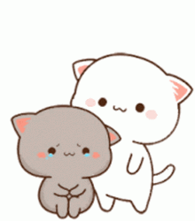 Peach And Goma Cats Comfort Hugs GIF