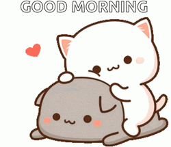 Peach And Goma Cats Good Morning Cartoon
