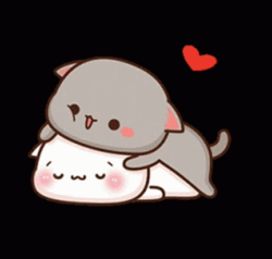 Peach And Goma Cozying Up GIF